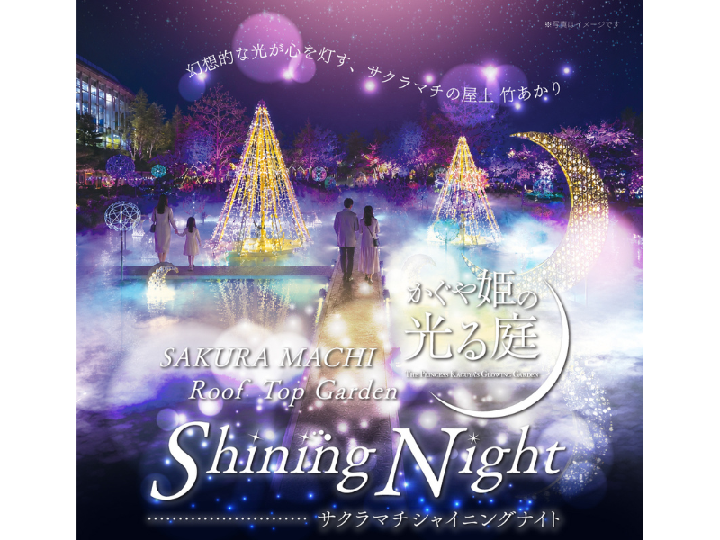 かぐや姫の光る庭 ～第四章 Shining Night～イメージ
